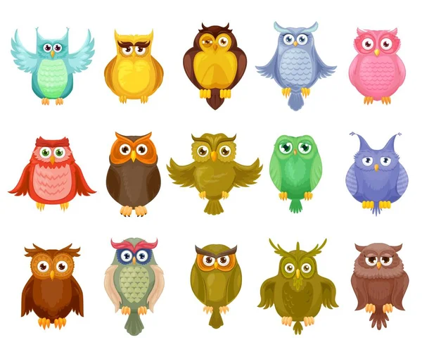 Owl Birds Vector Design Cute Cartoon Owlets Colorful Feathered Barn — Stock Vector