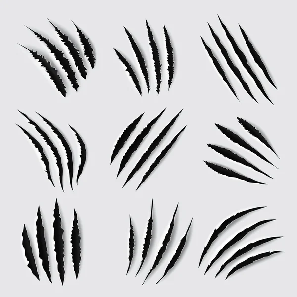 Νύχι Γρατσουνιές Και Σημάδια Διάνυσμα Σχεδιασμό Των Ποδιών Των Ζώων — Διανυσματικό Αρχείο