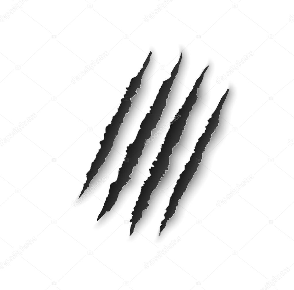 Bear claw marks, scratches, wild animal talon rips, predator nails vector trail. Tiger or cat paws sherds, realistic 3d marks of lion, monster, dragon or beast, break traces on white paper background
