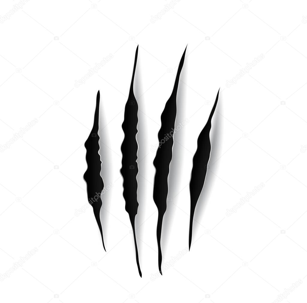 Eagle claw marks, scratches, predator bird nails vector traces. Wild animal talon rips, tiger bear or cat paws sherds on white paper or wall. Lion, monster, dragon or beast trail realistic 3d marks