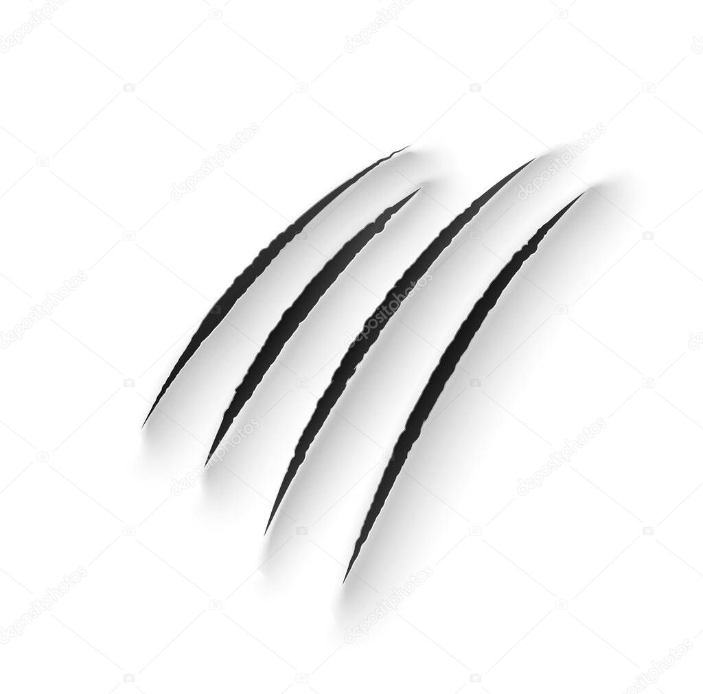 Tiger claw marks, scratches, wild animal vector talon rips. Predator nails trail, bear or cat paws sherds, realistic 3d marks of lion, monster, dragon or beast, break traces on white paper background
