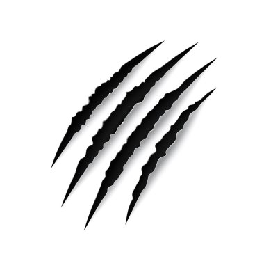 Tiger claw mark scratches vector slash traces of wild cat animal paw and talons. Scary horror monster, lion and bear torn marks of black scratches with rough edges, Halloween themes clipart