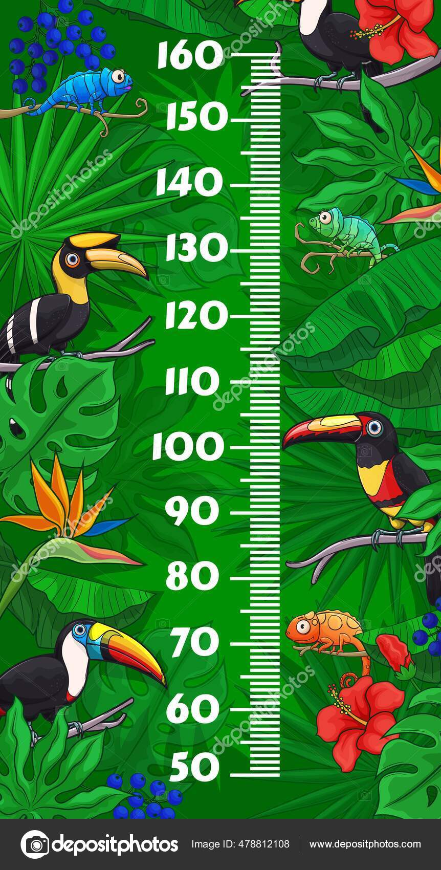 Birds Chart for Kids