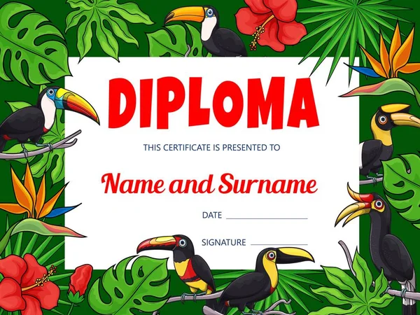 Bambini Diploma Istruzione Con Fumetto Vettore Toucan Uccelli Giungla Cornice — Vettoriale Stock