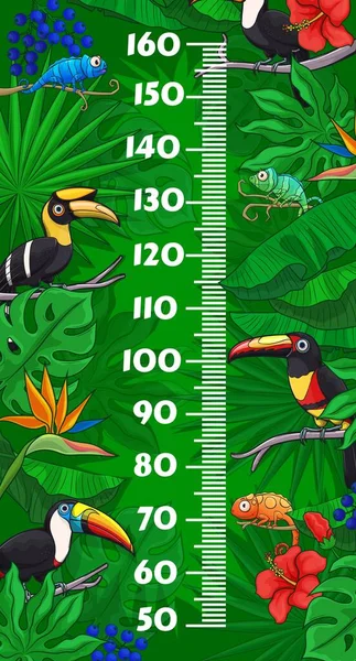 Kids Height Chart Cartoon Toucan Birds Chameleons Jungle Tropical Leaves — Wektor stockowy