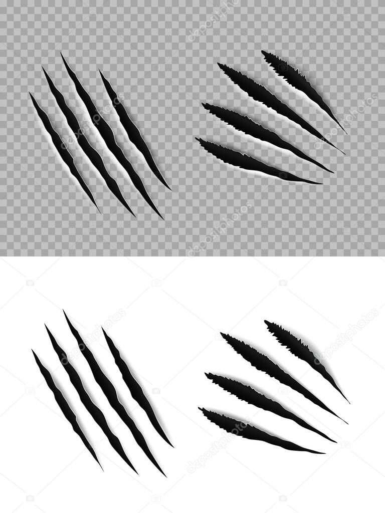 Claw marks and scratches of vector animal paws, tiger, wild cat, bear or lion slashes and torn traces. Monster, dragon beast or dinosaur attack trails, sharp talon scratches on transparent background