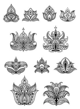 Paisley çiçek tasarım öğeleri kümesi