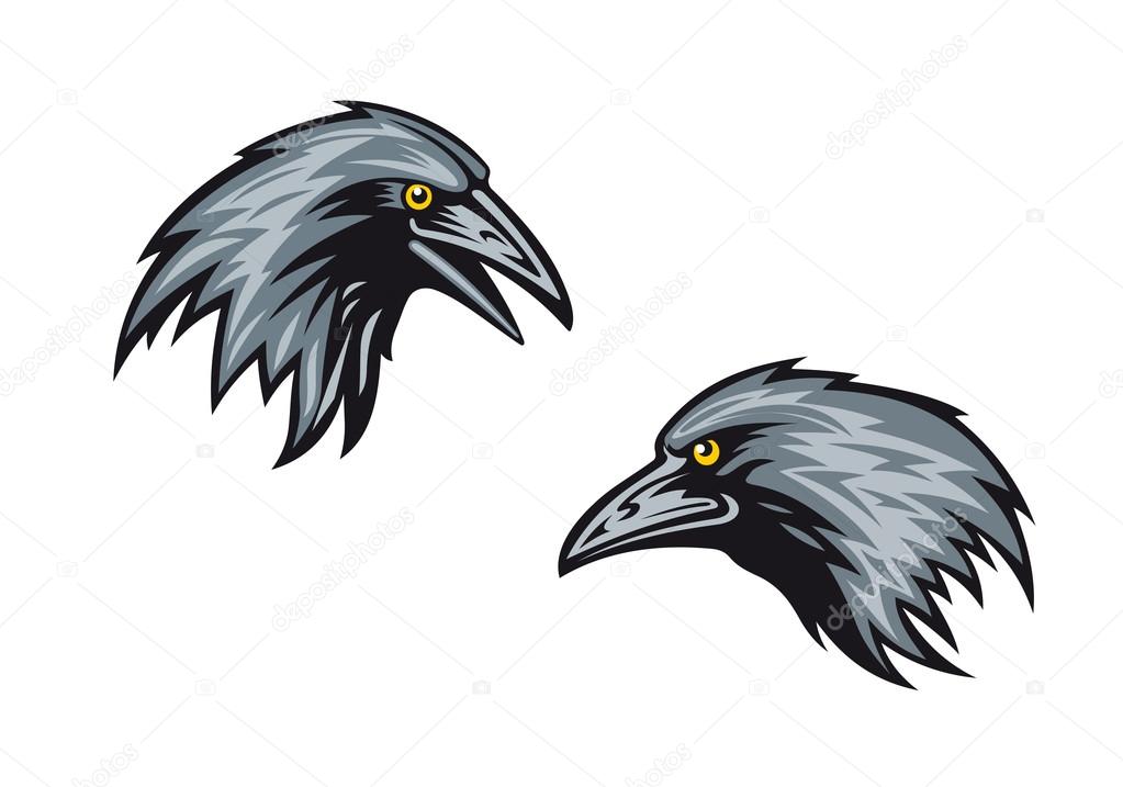Heads of blackbirds or ravens