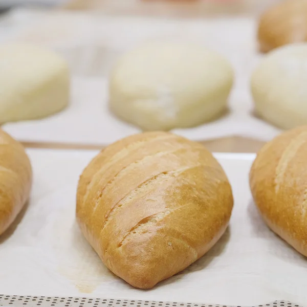 Pão fresco na padaria — Fotografia de Stock