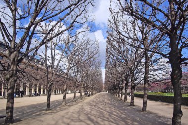 Paris'in merkezinde park