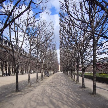 Paris'in merkezinde park