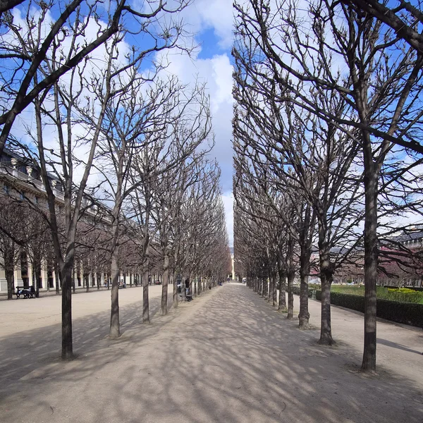 Park in een centrum van Parijs — Stockfoto