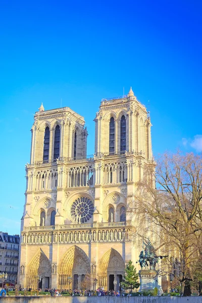 Notre dame de paris — Foto Stock