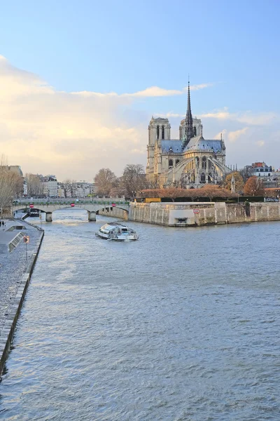 Notre Dame w Paryżu — Zdjęcie stockowe