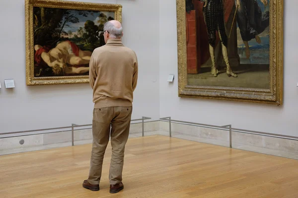 Louvre resimlerde ziyaretçi bakmak — Stok fotoğraf