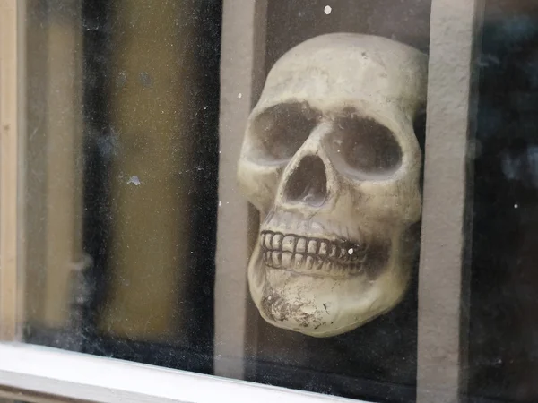Crânio atrás de uma janela — Fotografia de Stock