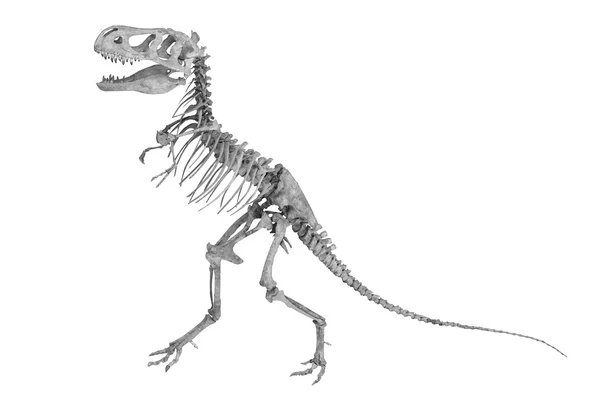 Skelett eines Dinosauriers — Stockfoto
