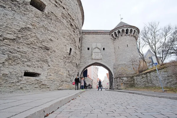 Old town of Tallin — Stock Photo, Image