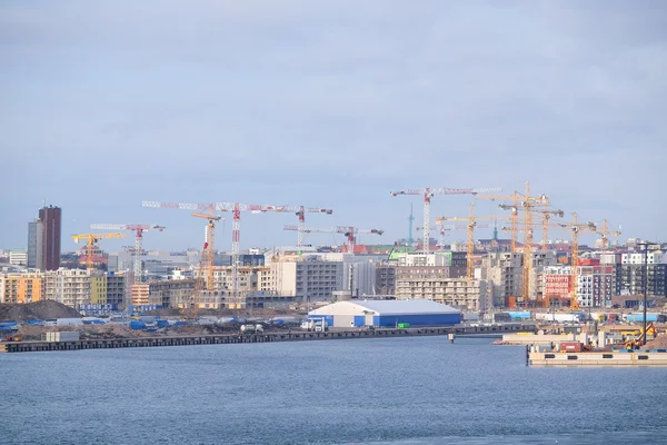 Kraniche in Helsinki — Stockfoto