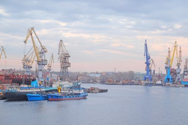 Kargo liman St Petersburg