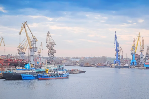 Cargo port i St Petersburg — Stockfoto