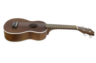 Bir müzik aleti resim