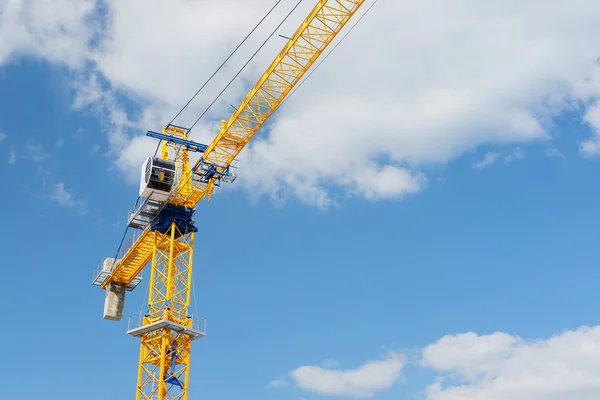 Grue sous le fond blanc — Photo