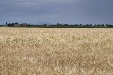 İtalyan ülke manzara