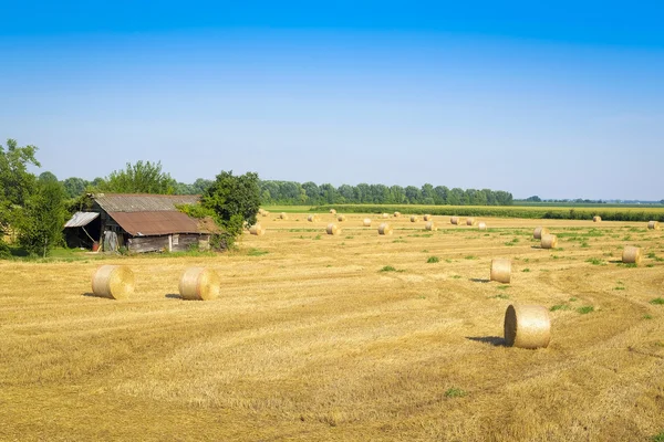 Paisaje italiano —  Fotos de Stock