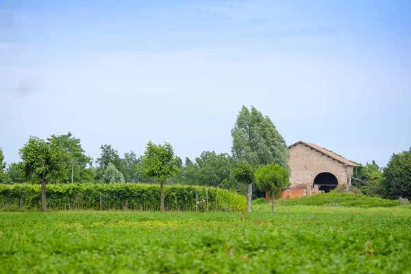 Italská venkovská krajina — Stock fotografie