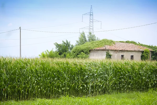 Italienska land landskap — Stockfoto