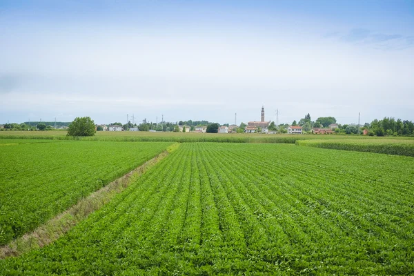 Italienska land landskap — Stockfoto