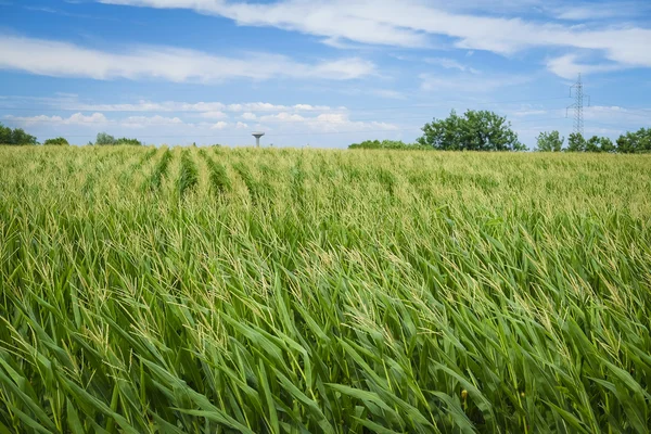 Paesaggio italiano — Foto Stock