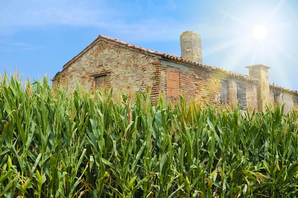 Gammal bondgård i Rovigo — Stockfoto