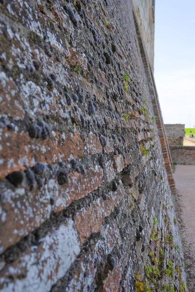 Mauer eines antiken Hauses in Mantua — Stockfoto