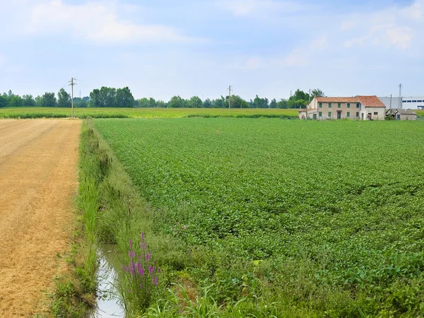 En italienska landsbygden — Stockfoto