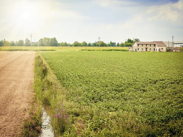 En italienska landsbygden — Stockfoto