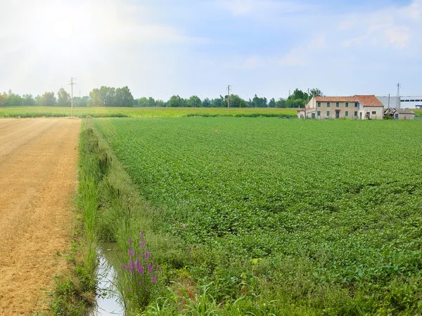 En italienska landsbygden — Stockfoto