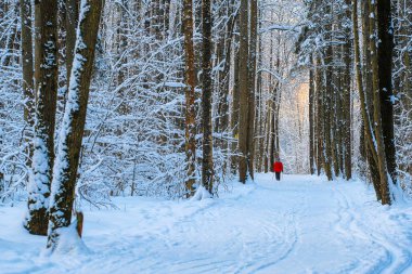 Gün batımında ahşap görüntüsü olan kış manzarası