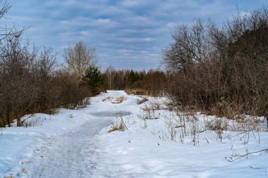 Bir bahar gölü görüntüsüyle manzara