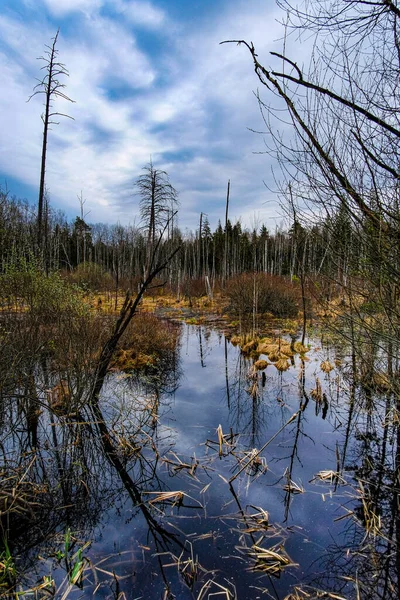 Voorjaarslandschap Met Het Beeld Van Hoog Water — Stockfoto