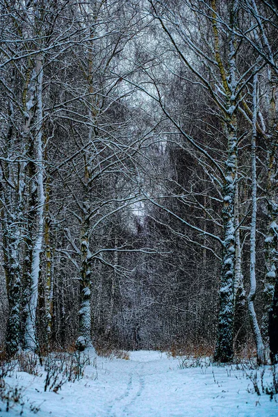 Winterlandschap Met Het Beeld Van Hout Bij Zonsondergang — Stockfoto