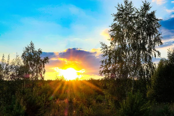 Coucher Soleil Dans Forêt Centre Russie — Photo