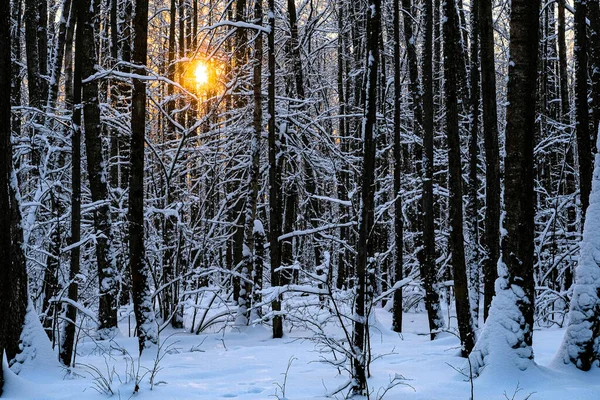 Paisaje Invernal Con Imagen Madera Atardecer —  Fotos de Stock