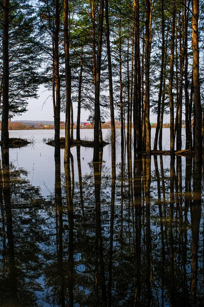 Voorjaarslandschap Met Het Beeld Van Hoog Water — Stockfoto