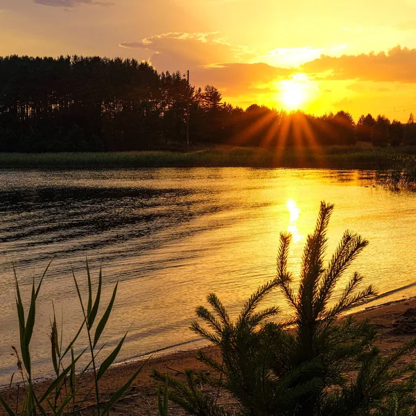 Landscape Seliger Lake Tver Oblast Russia Sunset — Stock Photo, Image