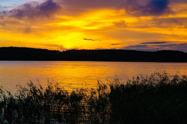 Landscape Seliger Lake Tver Oblast Russia Sunset — Stock Photo, Image