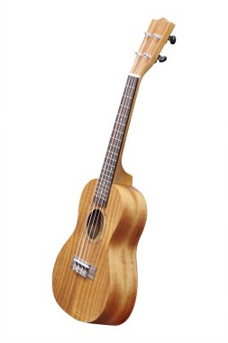 Hawai gitar resim