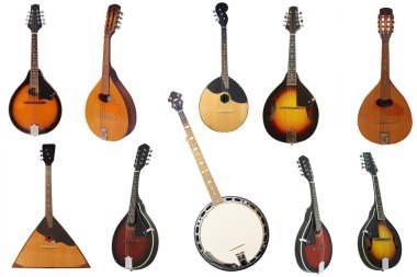 Mandolin kümesi