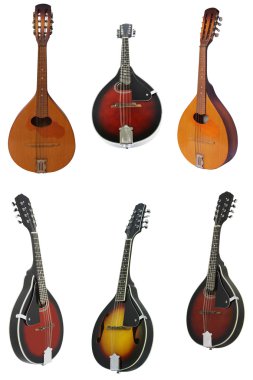 Mandolin kümesi